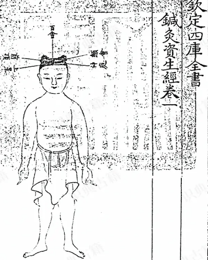 The Classic That Nourishes Life with Acupuncture and Moxibustion(Zhen Jiu Zi Sheng Jing)