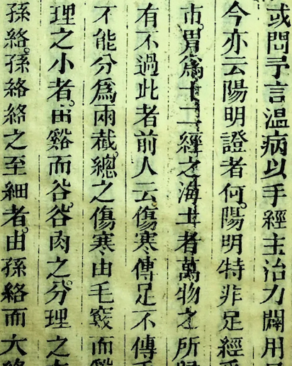 Wen Bing Tiao Bian (Systematic Differentiation of Warm Diseases)