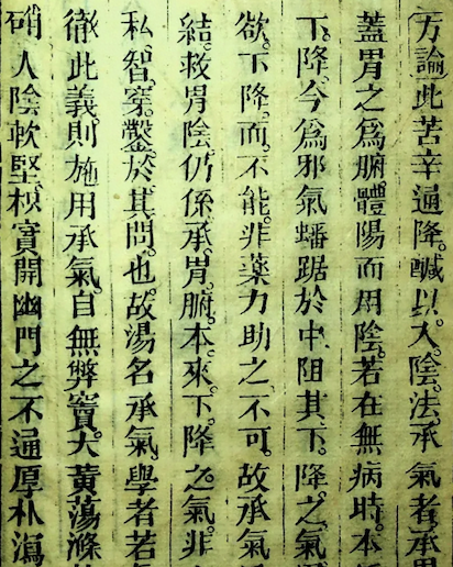 Wen Bing Tiao Bian (Systematic Differentiation of Warm Diseases)