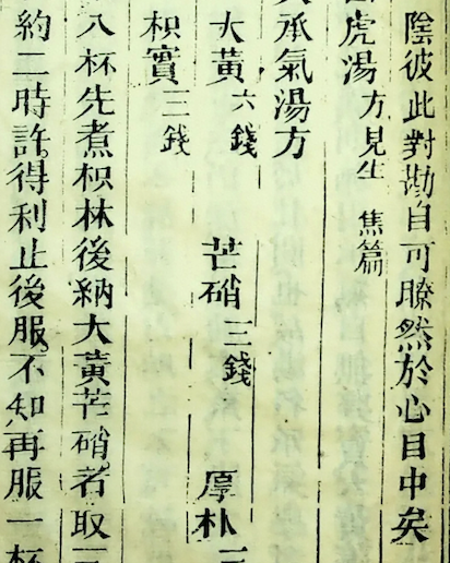 Wen Bing Tiao Bian (Systematic Differentiation of Warm Diseases)