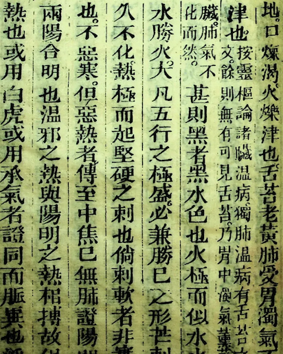 Wen Bing Tiao Bian (Systematic Differentiation of Warm Diseases)