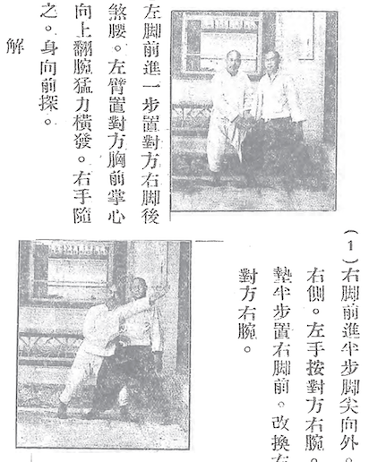 Shun Shou Quan Shu(natural movement martial art)