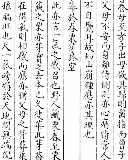 Zang Shu (The Book of Burial)